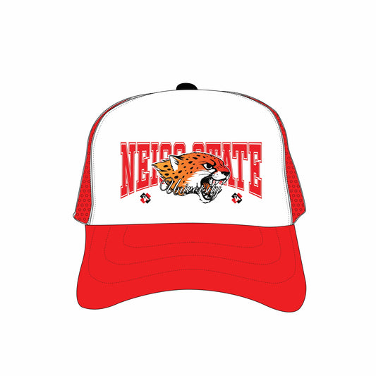 NSU SD TWO TONE TRUCKER
